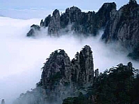 黃山雁之旅國(guó)際旅行社